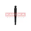 KAMOKA 2000883 - Jeu de 2 amortisseurs arrière