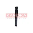 KAMOKA 2000886 - Jeu de 2 amortisseurs arrière