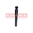 KAMOKA 2000886 - Jeu de 2 amortisseurs arrière