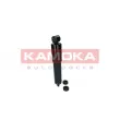 KAMOKA 2000890 - Jeu de 2 amortisseurs arrière