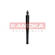 KAMOKA 2000911 - Jeu de 2 amortisseurs arrière