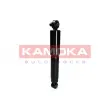 KAMOKA 2000926 - Jeu de 2 amortisseurs arrière