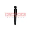 KAMOKA 2000926 - Jeu de 2 amortisseurs arrière