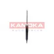 KAMOKA 2000946 - Jeu de 2 amortisseurs arrière