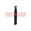 KAMOKA 2000964 - Jeu de 2 amortisseurs arrière