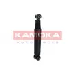 KAMOKA 2000964 - Jeu de 2 amortisseurs arrière