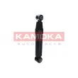 KAMOKA 2000969 - Jeu de 2 amortisseurs arrière