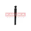 KAMOKA 2000973 - Jeu de 2 amortisseurs arrière