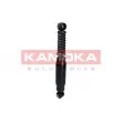 KAMOKA 2000974 - Jeu de 2 amortisseurs arrière