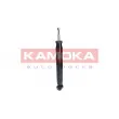 KAMOKA 2000976 - Jeu de 2 amortisseurs arrière