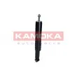 KAMOKA 2000980 - Jeu de 2 amortisseurs arrière