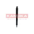 KAMOKA 2000988 - Jeu de 2 amortisseurs arrière