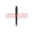 KAMOKA 2000988 - Jeu de 2 amortisseurs arrière
