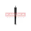 KAMOKA 2000996 - Jeu de 2 amortisseurs arrière