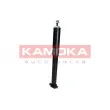 KAMOKA 2000997 - Jeu de 2 amortisseurs arrière
