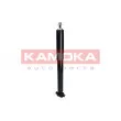 KAMOKA 2000997 - Jeu de 2 amortisseurs arrière