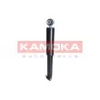 KAMOKA 2001002 - Jeu de 2 amortisseurs arrière