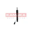 KAMOKA 2001007 - Jeu de 2 amortisseurs avant