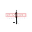 KAMOKA 2001007 - Jeu de 2 amortisseurs avant
