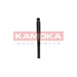 KAMOKA 2001009 - Jeu de 2 amortisseurs arrière