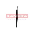 KAMOKA 2001017 - Jeu de 2 amortisseurs arrière