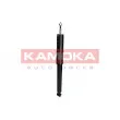 KAMOKA 2001017 - Jeu de 2 amortisseurs arrière
