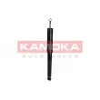 KAMOKA 2001017 - Jeu de 2 amortisseurs arrière