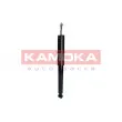 KAMOKA 2001018 - Jeu de 2 amortisseurs arrière