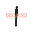 KAMOKA 2001024 - Jeu de 2 amortisseurs arrière