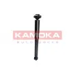 KAMOKA 2001025 - Jeu de 2 amortisseurs arrière