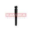 KAMOKA 2001030 - Jeu de 2 amortisseurs arrière