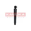 KAMOKA 2001036 - Jeu de 2 amortisseurs arrière