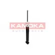 KAMOKA 2001037 - Jeu de 2 amortisseurs arrière