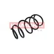 KAMOKA 2110286 - Ressort de suspension
