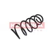 KAMOKA 2110364 - Ressort de suspension