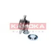 KAMOKA 5500007 - Roulement de roue arrière