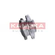 KAMOKA 5500070 - Roulement de roue avant