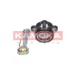 KAMOKA 5500129 - Roulement de roue avant
