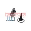 KAMOKA 5500130 - Roulement de roue avant