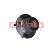 KAMOKA 5500135 - Roulement de roue arrière