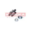 KAMOKA 5500145 - Roulement de roue arrière
