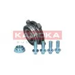 KAMOKA 5500182 - Roulement de roue arrière
