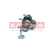 KAMOKA 5500244 - Roulement de roue avant
