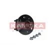 Roulement de roue arrière KAMOKA [5500331]