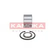 KAMOKA 5600031 - Roulement de roue arrière