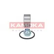 KAMOKA 5600032 - Roulement de roue avant