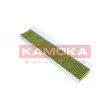 KAMOKA 6080019 - Filtre, air de l'habitacle