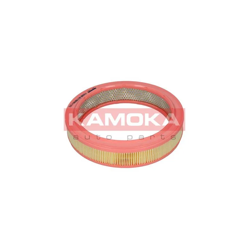Filtre à air KAMOKA F200301 - Visuel 2