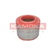 Filtre à air KAMOKA [F236201]