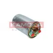 KAMOKA F300101 - Filtre à carburant